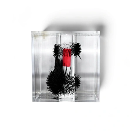 Набор для демонстрации объемных спектров постоянных магнитов